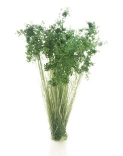 Woodland Scenics ALL GAME TERRAIN G6632 Dark Green Shrubs